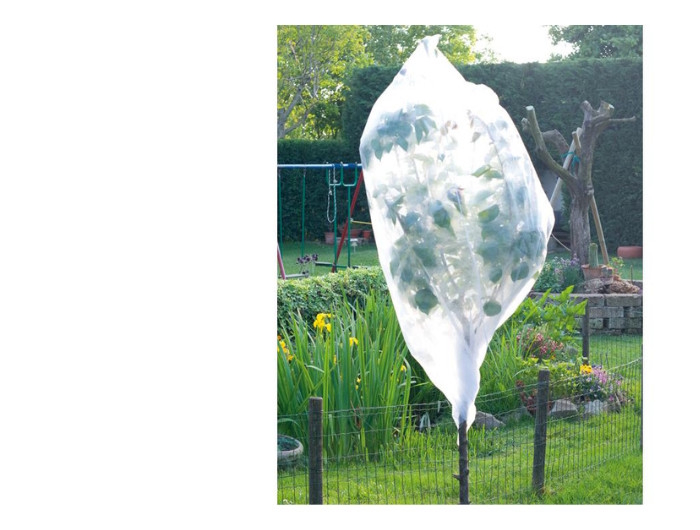 Agrotekstil kapa Papillon 1.6x1 m