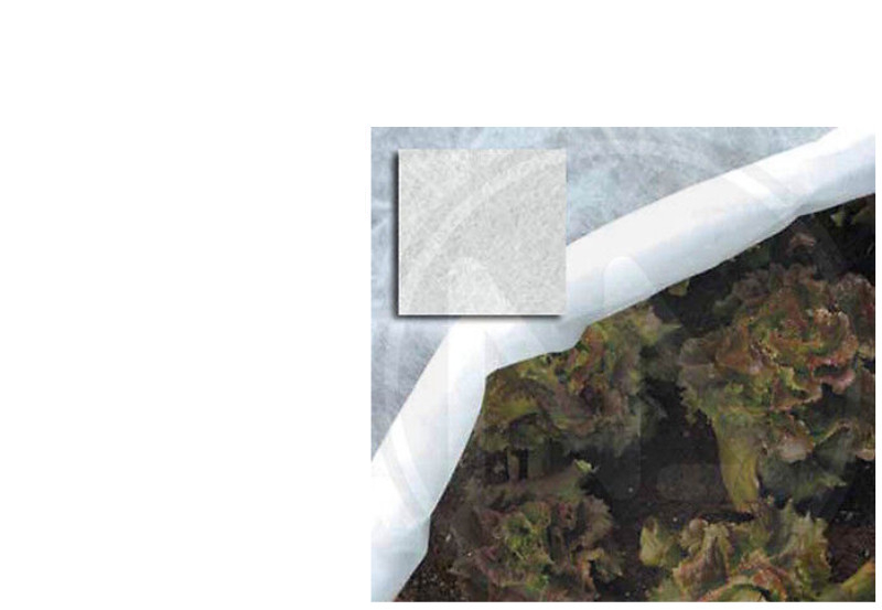 Agrotekstil Papillon, 2x10 m