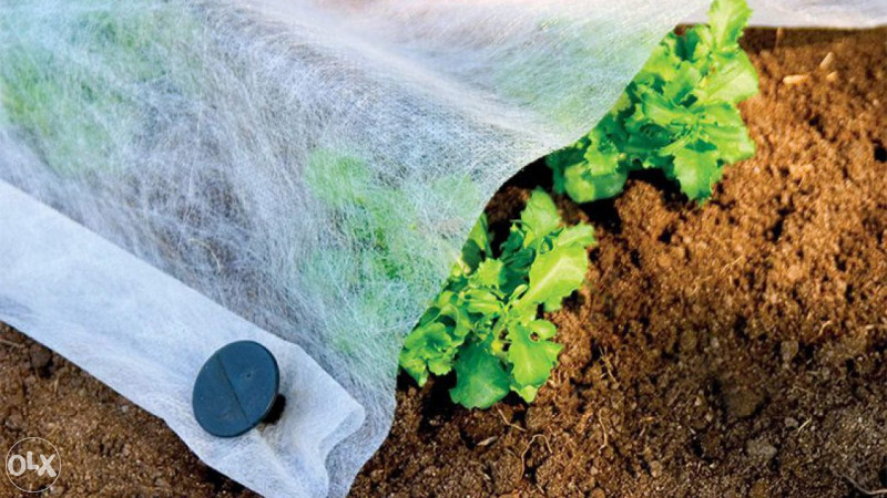 Agrotekstil 2,4 x 10 m